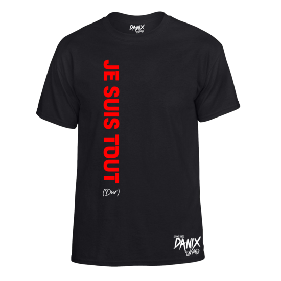 Tshirt Je suis tout ...